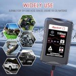 2-Pack 12V Portable Smart Battery Maintainers