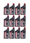 Honda GN4 10W40 4-Stroke Engine Oil Case