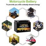 Weize YTX4L-BS High Performance Motorcycle Battery
