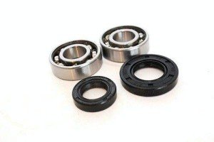 BossBearing Crank Shaft Bearings & Seals Kit for Suzuki LT50