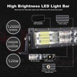 22" Curved LED Light Bar with Fog Lights