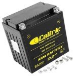 Caltric AGM Battery for Arctic Cat Prowler 700