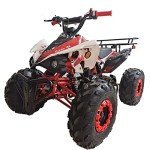 X-PRO 125cc Automatic ATV with LED Headlights