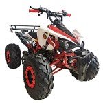 X-PRO 125cc Automatic ATV with LED Headlights