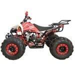 X-PRO 125cc Automatic ATV with LED Headlights