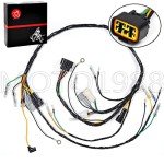 Yamaha ATV Blaster Wiring Harness Replacement