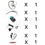 Amavoler Ignition Coil and Wiring Loom Kit