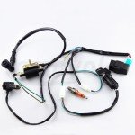 Amavoler Ignition Coil and Wiring Loom Kit