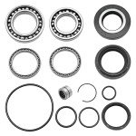Honda Rancher 420 Rear Differential Bearings & Seals Kit