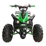 X-PRO 125cc ATV w/ Reverse & LED Headlight
