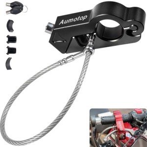 Heavy-Duty Motorcycle Brake and Helmet Lock Combo