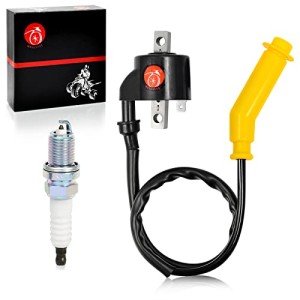 Ignition Coil & Spark Plug for Honda Foreman