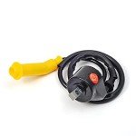 Ignition Coil & Spark Plug for Honda Foreman