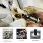 Magnetic Oil Drain Plug with Copper Gaskets