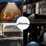 Universal Waterproof LED License Plate Light - Orange