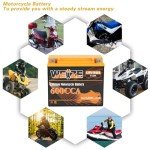 Weize 12V 600A Lithium Battery for ATV & UTV