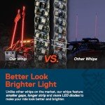 RGB LED Whip Light with Remote for ATVs