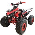 X-PRO 125cc Automatic ATV with LED Headlight