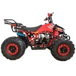 X-PRO 125cc Automatic ATV with LED Headlight
