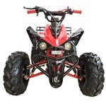 X-PRO 125cc Automatic ATV with LED Headlight