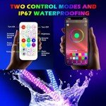 4FT RGB LED Whip Lights with Remote Control