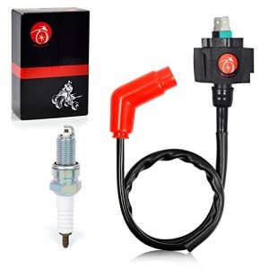 Ignition Coil and Spark Plug for Honda ATVs