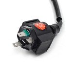 Ignition Coil and Spark Plug for Honda ATVs