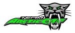 Arctic Cat 7" x 3" Sticker Decal