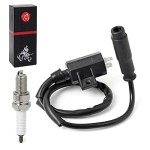 Kawasaki Ignition Coil Pack and Spark Plug Set