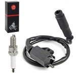 Kawasaki Ignition Coil Pack and Spark Plug Set