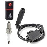 Kawasaki Ignition Coil Pack and Spark Plug Set