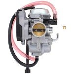 MOTOKU Carburetor for Kawasaki Brute Force 300
