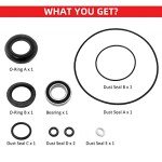 ATV Rear Brake Drum Bearings and Seals Kit
