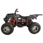 X-PRO 200 Automatic Transmission Adult ATV - Black