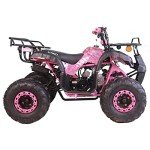 X-PRO 125cc ATV with Auto Transmission & Reverse