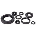Tusk Engine Oil Seal Kit for Honda CR250R