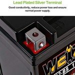 Weize YTX12-BS High-Performance ATV Battery