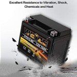 Weize YTX12-BS High-Performance ATV Battery