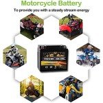 Weize YTX12-BS High-Performance ATV Battery