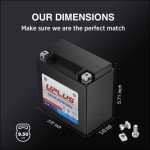 Maintenace-Free AGM ATV & Powersports Battery