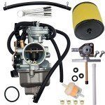 JDLLONG Carburetor Kit for Honda TRX 250