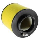 Honda Recon 250 ATV Air Filter Replacement