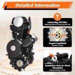 125cc 4-Stroke ATV Electric/Kick Start Engine Kit
