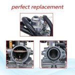 JDLLONG Carburetor Kit for Honda TRX 250