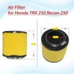 JDLLONG Carburetor Kit for Honda TRX 250