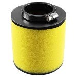 Honda Recon 250 ATV Air Filter Replacement