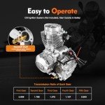 200cc/250cc 4-Stroke ATV Engine with Electric Start
