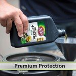 STP 10W-30 Small Engine Oil, 32 Oz