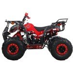 X-PRO 125cc Automatic ATV with Big Tires