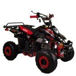X-Pro 110cc Youth ATV Quad with Accessories